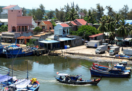 Dân Bình Định chi tiền tỷ xây nhà lầu, biệt thự cho chim yến