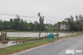 Bão số 2 càn quét Hà Tĩnh: Cột điện bị quật đổ, trường học tốc mái
