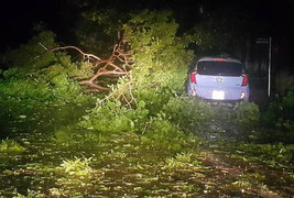 Bão số 2 quét qua Nghệ An - Hà Tĩnh, cây xanh bật gốc, nhà cửa tốc mái