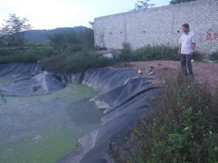 Trượt chân xuống hố biogas, bé gái 9 tuổi chết thương tâm