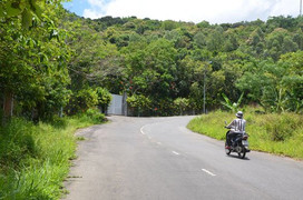 Đà Nẵng báo cáo về Sơn Trà: Bỏ qua 137 lô biệt thự của cá nhân