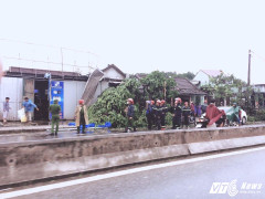 Bão số 10 tàn phá Thừa - Thiên Huế: Hàng trăm nhà dân tan hoang, cây bị quật đổ ngang thân