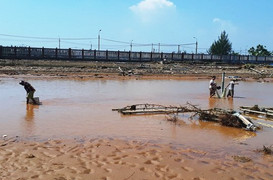 Báo cáo thiệt hại do bão số 10 chênh 300 tỉ đồng: 'Chúng tôi thống kê bằng cách nghe ngóng'