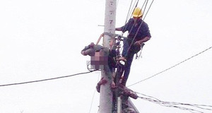 Đồng nghiệp bất cẩn bật cầu dao, nhân viên điện lực bị điện giật chết