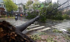 Thời tiết tháng 12: Biển Đông có thể đón bão, áp thấp nhiệt đới