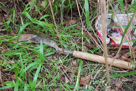 Người chém tài xế vì chuyện cẩu xe tại BOT Cai Lậy nói gì?