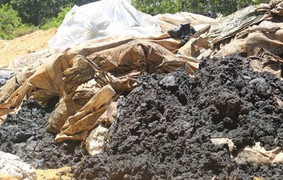 Chôn chất thải trái phép, Formosa bị phạt 560 triệu đồng