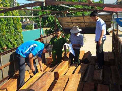 Truy bắt xe chở gỗ lậu, 2 cảnh sát nhập viện