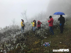 Dự báo thời tiết 1/2: Không khí lạnh tăng cường, miền Bắc rét kỷ lục trong 2 năm qua