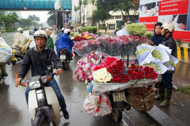 Chuyên gia khí tượng: Hà Nội chuyển mưa rét đột ngột ngày 8/3