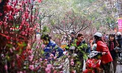 Đề xuất nghỉ 9 ngày dịp Tết Âm lịch 2019