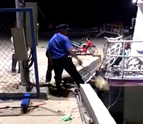 Đậu quá 30 phút, tàu khách bị nhân viên cảng mở neo thả trôi