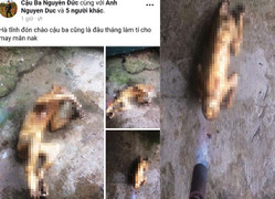 Nam thanh niên ở Hà Tĩnh đăng ảnh giết khỉ lên Facebook bị chỉ trích dữ dội