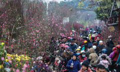 Dịp Tết Nguyên đán Kỷ hợi 2019, thời tiết 3 miền thế nào?