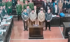Đề nghị hoãn phiên tòa để trưng cầu giám định tâm thần đối với Hoàng Công Lương
