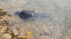 Vào rừng lấy lá dong về gói bánh chưng, người đàn ông bị chết đuối