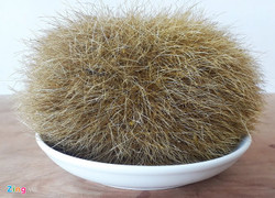 Mổ heo 300kg ăn Tết, phát hiện 'cát lợn' quý hiếm to bằng quả cam