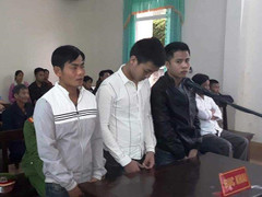 Trộm 70 con gà và 1 con bò, ba thanh niên lĩnh 50 tháng tù