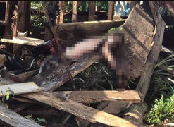 Liều lĩnh cưa đạn pháo lấy thuốc nổ, người đàn ông chết tại chỗ