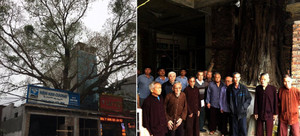 Cây đề trăm tuổi bị dân 'bức tử', xây nhà ôm trọn gốc: Tỉnh Bắc Ninh chỉ đạo giải quyết