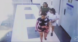 Hai phụ nữ che camera, tiểu bậy trong thang máy chung cư Hà Nội: Chủ nhà bị phạt 2 triệu đồng