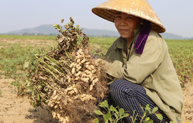 Vừa dứt mưa bão, Trung Bộ lại xuất hiện nắng nóng trên 37 độ C