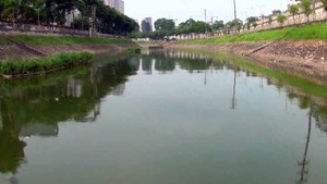 Đề xuất lấy nước sông Hồng 'giải cứu' sông Tô Lịch, phát triển tuyến buýt đường thuỷ