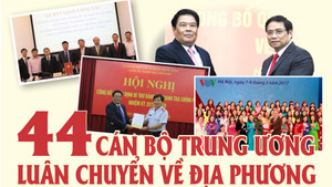 Infographic: 44 cán bộ Trung ương luân chuyển về địa phương giờ ra sao?