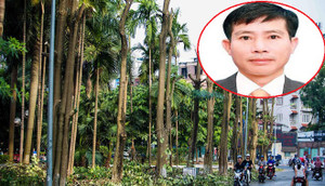 Dịch chuyển 100 cây hoa sữa từ Hồ Tây lên bãi rác Nam Sơn có 'khử' được mùi hôi?