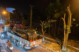 Video: Trắng đêm bứng gốc, di dời gần 100 cây hoa sữa ven Hồ Tây lên bãi rác Nam Sơn