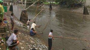 Ảnh: Sau mưa lớn, người Hà Nội rủ nhau ra sông Kim Ngưu đánh bắt cá