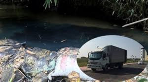 Điều tra nữ giám đốc thuê người đổ chất thải làm ô nhiễm nước sông Đà