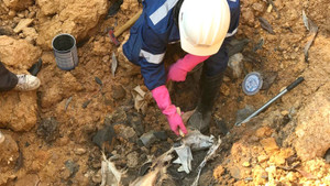 Chủ tịch Hà Nội yêu cầu làm rõ vụ chôn trộm chất thải nguy hại ở Sóc Sơn