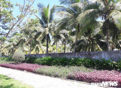 Đà Nẵng đề nghị thu hồi đất hàng loạt dự án chậm triển khai