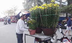 Chở hoa thuê ngày Tết, kiếm tiền triệu mỗi ngày ở Đà Nẵng