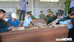 Bắt giữ hơn 9,1 tấn sừng nghi ngà voi ngụy trang tinh vi ở Đà Nẵng