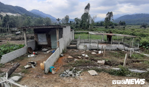 Dân Đà Nẵng đua nhau dựng nhà trái phép chờ đền bù từ dự án 643 tỷ đồng