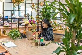 Nhìn không gian xanh mát này, ai cũng muốn làm việc