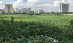 Bệnh viện nghìn tỷ trên giấy, chiếm đất vàng