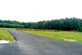 Đất quanh sân bay Long Thành 'sốt vì cò'