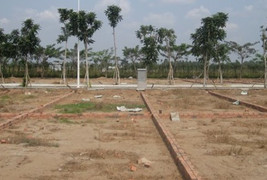 Siết đầu nậu núp bóng chủ đầu tư tách thửa, trốn thuế