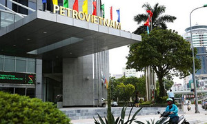 Lùm xùm lãnh đạo cấp cao, cổ phiếu dầu khí vẫn tăng mạnh