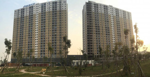 HoREA cảnh báo đầu tư vào căn hộ giá rẻ