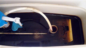 Cư dân chung cư Mulberry Lane sống chung với nước bẩn hơn 3 năm nay