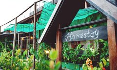 Đầu tư homestay ven Hà Nội hút khách