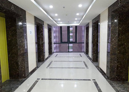 Chung cư Lạc Hồng Lotus - N01T5 bị tố 'ăn bớt' thang máy