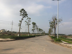 Thủ tướng yêu cầu xử lý các dự án đô thị bỏ hoang tại Mê Linh