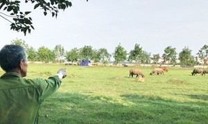 Họp kiểm điểm dự án chậm tiến độ tại Mê Linh