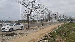 Thủ tướng yêu cầu ổn định thị trường đất đai tại Đà Nẵng và Quảng Nam