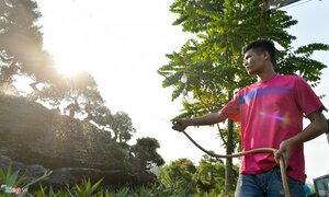 Độc đáo bộ tùng la hán giá 3 tỷ đồng